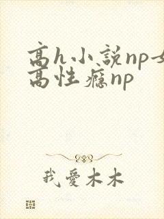 高h小说np女高性瘾np封面