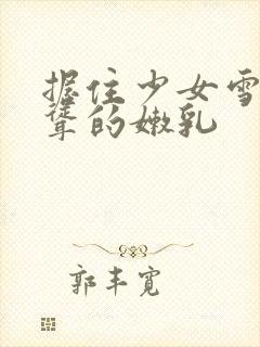 握住少女雪白高耸的嫩乳