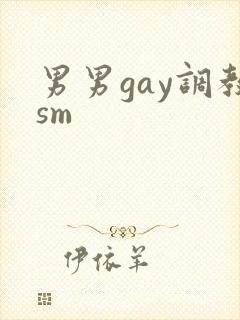 男男gay调教sm