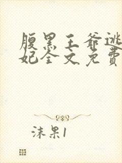 腹黑王爷逃跑王妃全文免费阅读封面