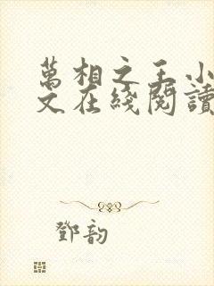 万相之王小说全文在线阅读封面