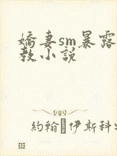 娇妻sm暴露调教小说