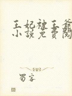 王妃被王爷责罚小说免费阅读