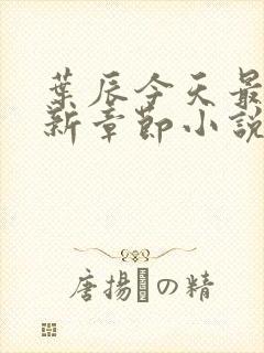 叶辰今天最新更新章节小说