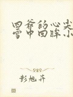 四爷的心尖宠妃雪中回眸小说精校版全集txt