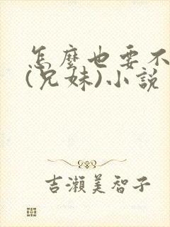 怎么也要不够她(兄妹)小说