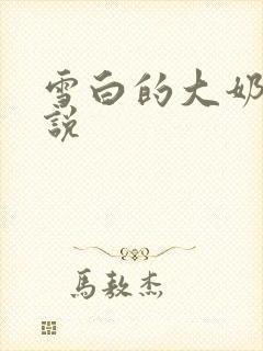 雪白的大奶子小说