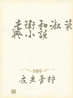 老卫和淑荣的经典小说