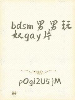 bdsm男男玩奴gay片封面