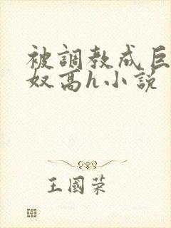 被调教成巨乳奶奴高h小说