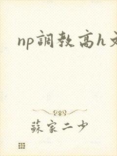 np调教高h文