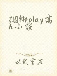 捆绑play高h小说