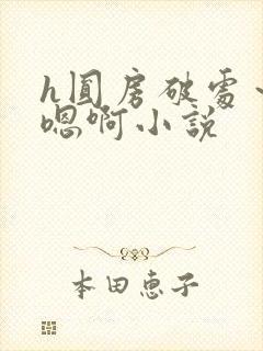 h圆房破处～h嗯啊小说