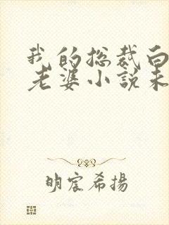 我的总裁白富美老婆小说未删减完整版