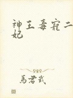神王毒宠二嫁王妃