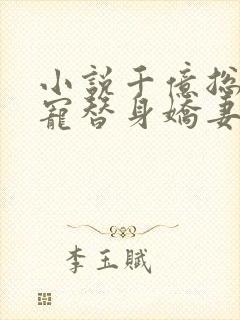 小说千亿总裁独宠替身娇妻完整版未删减小说封面