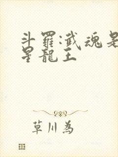 斗罗:武魂是铸星龙王