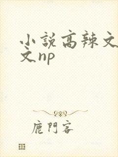 小说高辣文高h文np