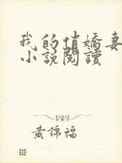 我的俏娇妻小慧小说阅读