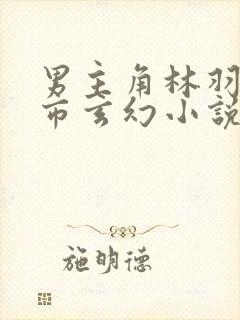 男主角林羽的都市玄幻小说封面