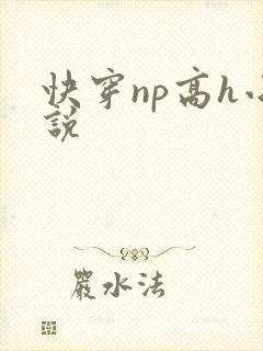快穿np高h小说封面
