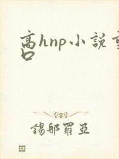 高hnp小说重口