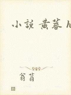小说 黄蓉 h