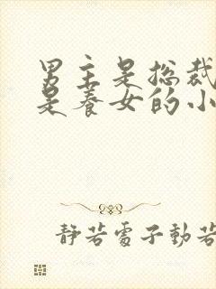 男主是总裁女主是养女的小说