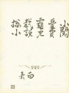 总裁霸爱小娇妻小说免费阅读封面