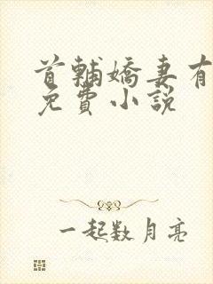 首辅娇妻有空间免费小说封面