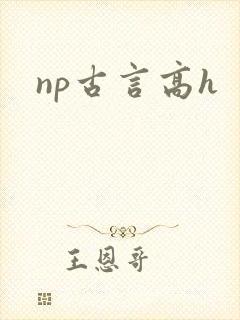 np古言高h