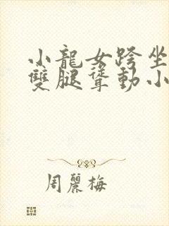 小龙女跨坐老汉双腿耸动小说封面