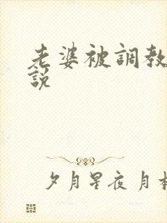 老婆被调教的小说