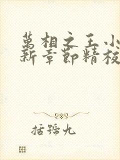 万相之王小说最新章节精校版封面