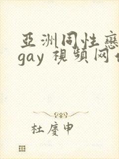 亚洲同性恋男 gay 视频网站封面