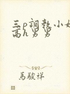 三p调教小嫩苞高h男男