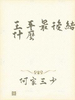 王平最后结局是什么封面