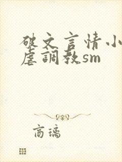 破文言情小说性虐调教sm