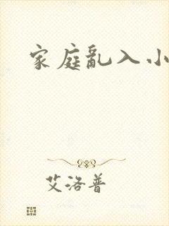 家庭乱入小说