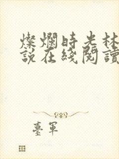 灿烂时光林岚小说在线阅读