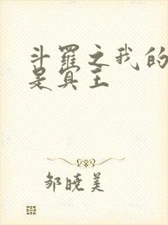 斗罗之我的武魂是冥王