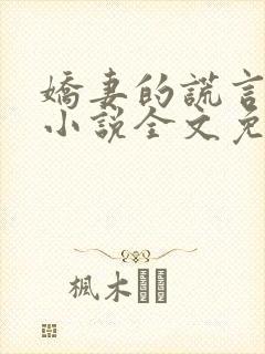 娇妻的谎言小楠小说全文免费阅读封面