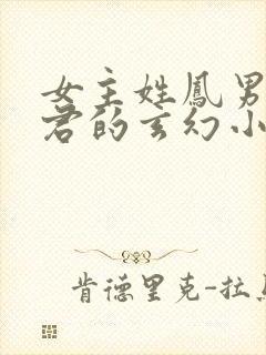 女主姓凤男主姓君的玄幻小说