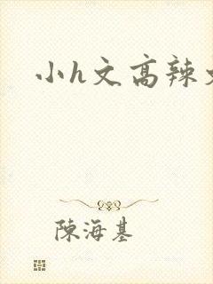 小h文高辣文