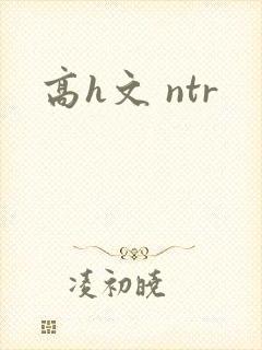 高h文 ntr