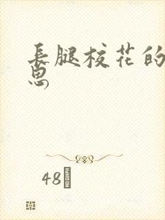 长腿校花的呻吟思封面