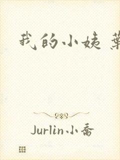 我的小姨 叶凡封面