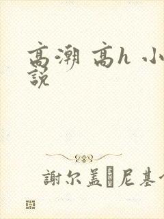 高潮 高h 小说封面