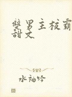 双男主校霸校园甜文