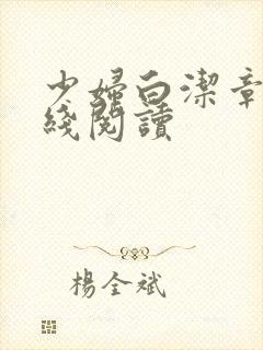 少妇白洁章节在线阅读